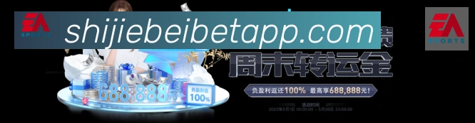 未来规划